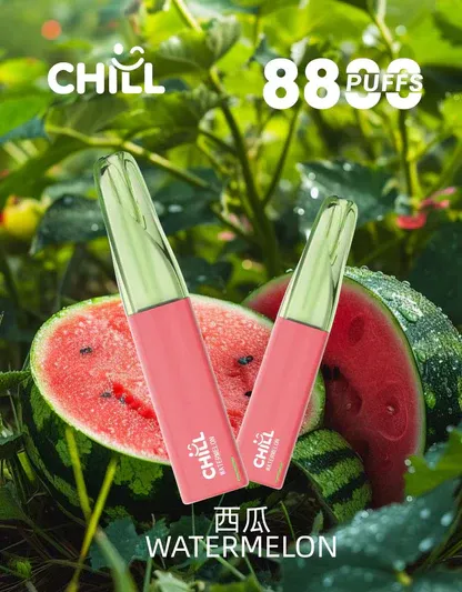 001-01.webp CHILL 鴨嘴獸 8800|派對社交焦點時刻|體會豐富香氣輪廓與溫柔空氣回饋